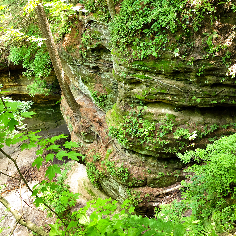 Starved Rock State Park - Basswood Canyon