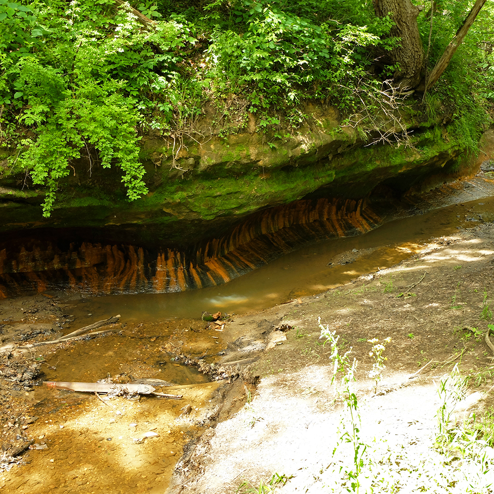 Starved Rock State Park - Clay deposits along the creek