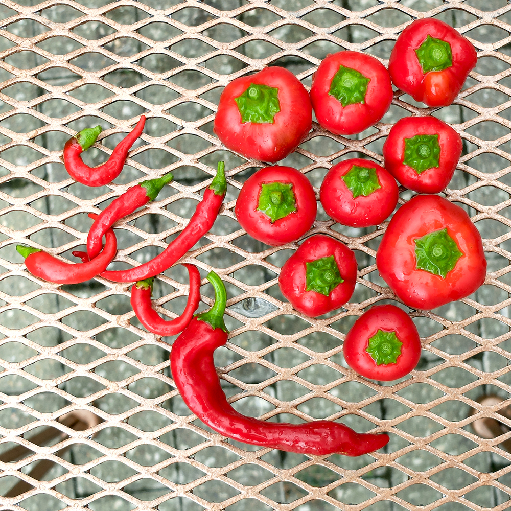 Pepper Harvest - Cayenne, Guajilo, and Hot Cherry Pepper