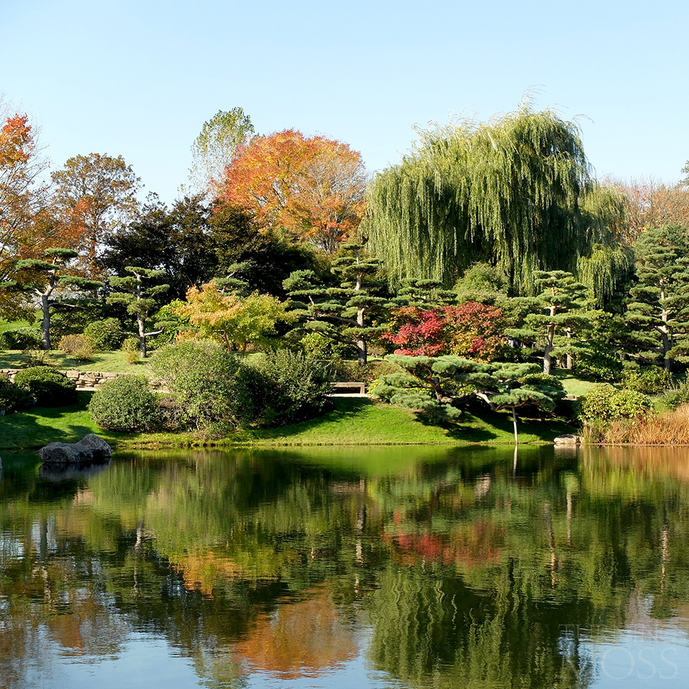 Chicago Botanic Gardens - Japanese Garden