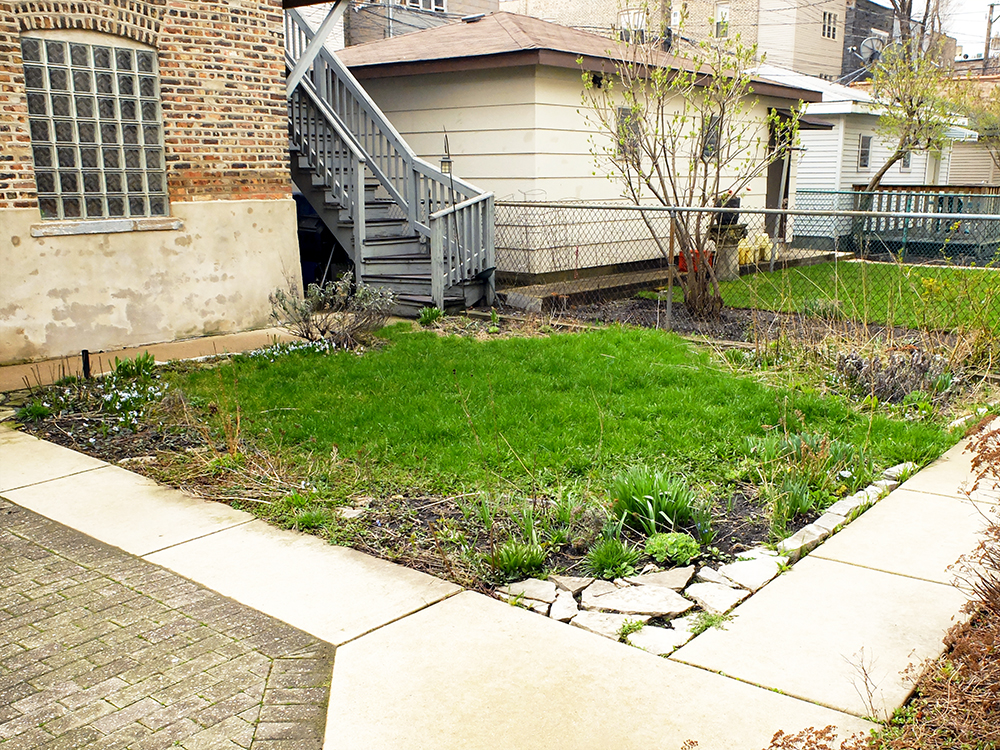 Backyard garden in the beginning of April 2016