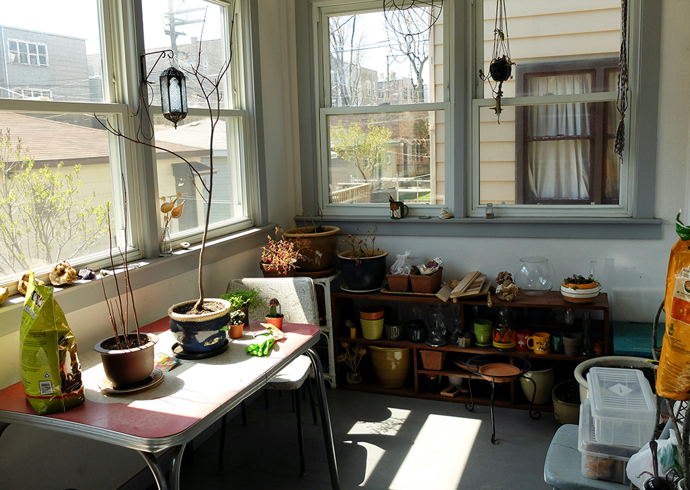 Sun Porch in April - before