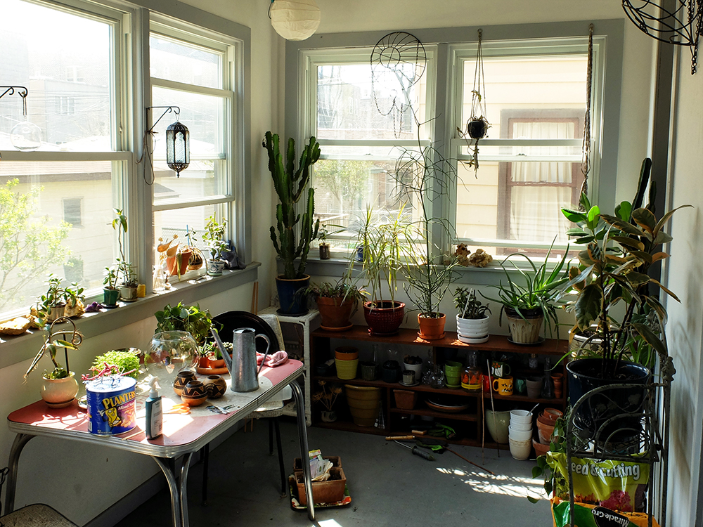 The Sun Porch in April