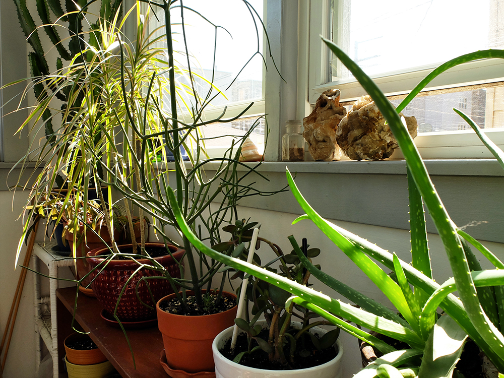 April - sunny porch