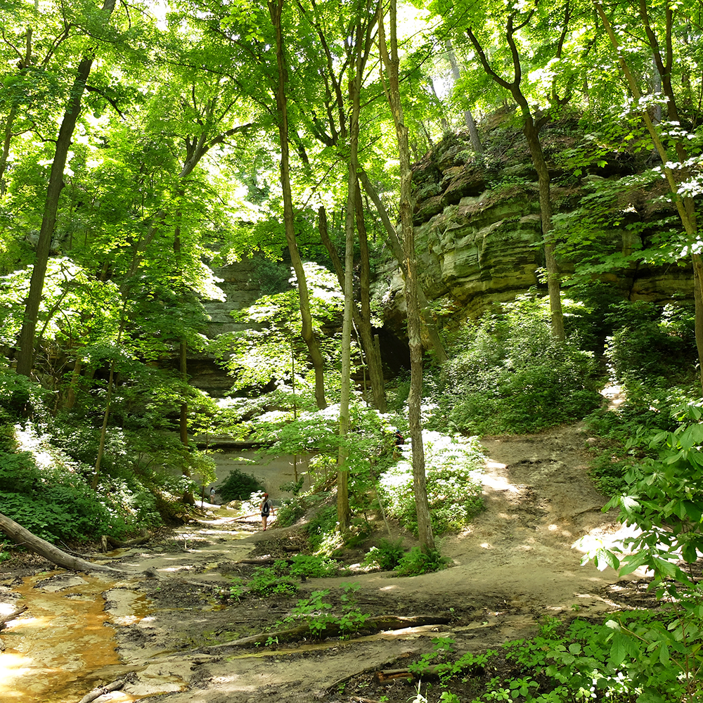 Starved Rock State Park - LaSalle Canyon