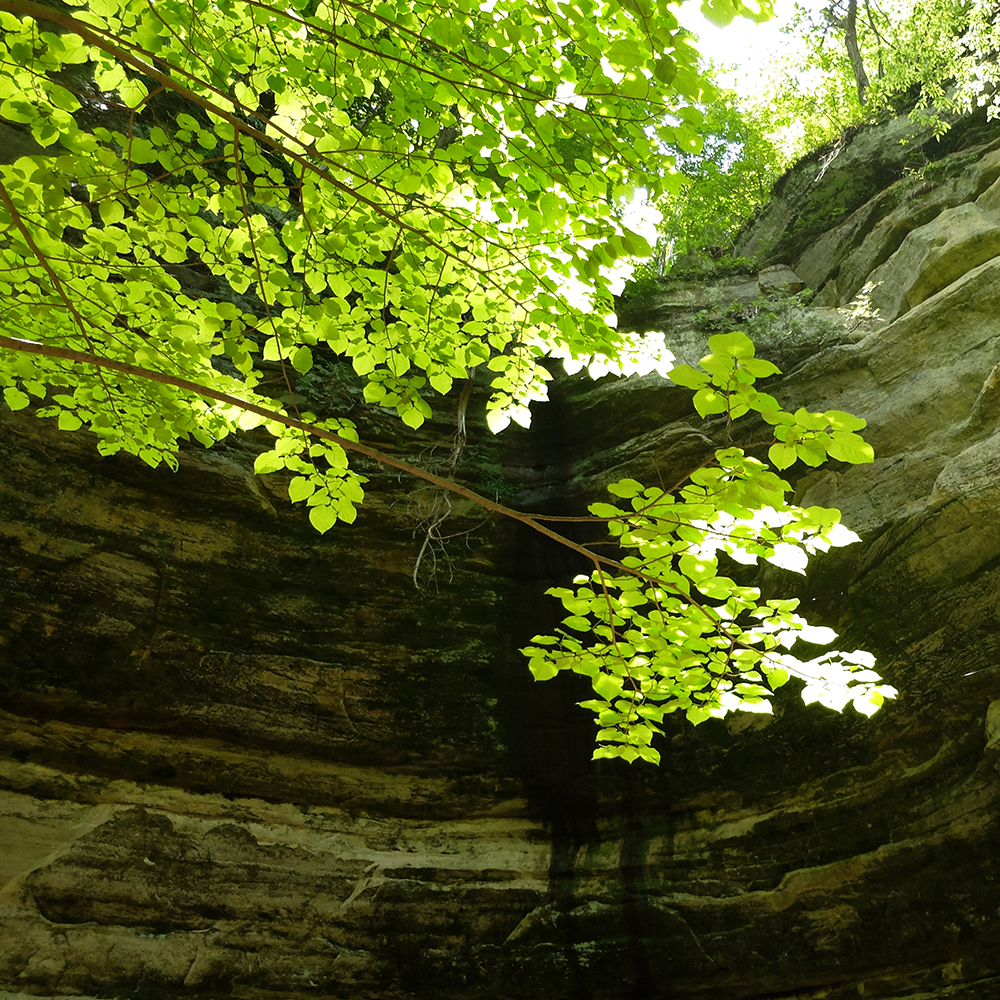 Starved Rock - Komorebi by LaSalle Canyon