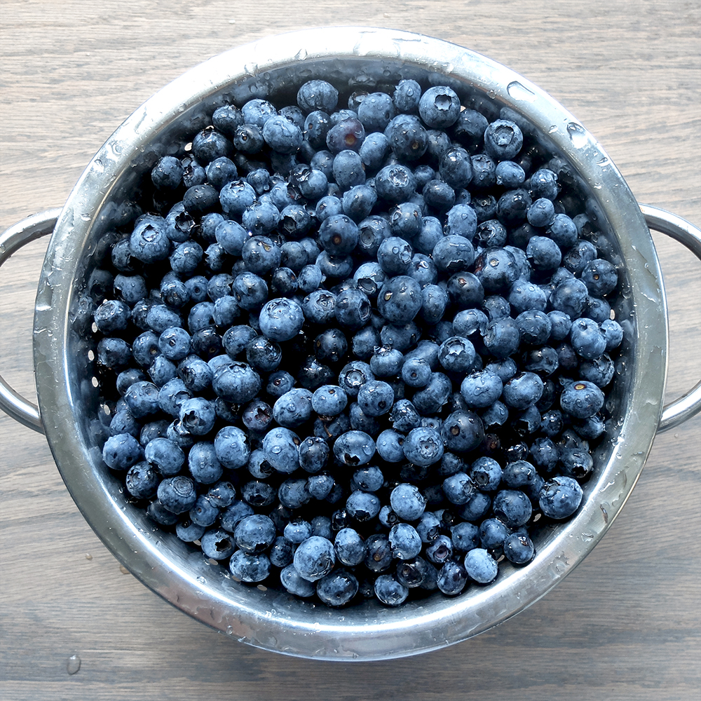 Blueberry Haul - U-Pick Haul - 4 pounds of Blueberries
