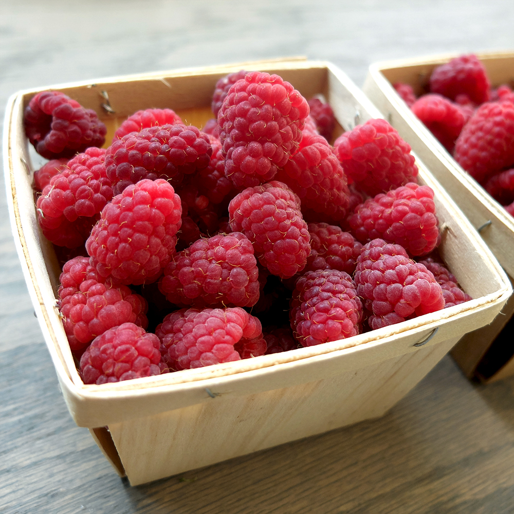 two pints of fresh picked raspberries