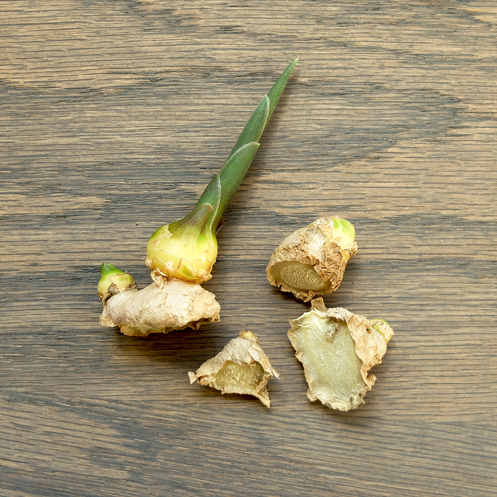 Growing Ginger at home from sprouted Ginger roots - Cut sprouts and allow to dry before planting